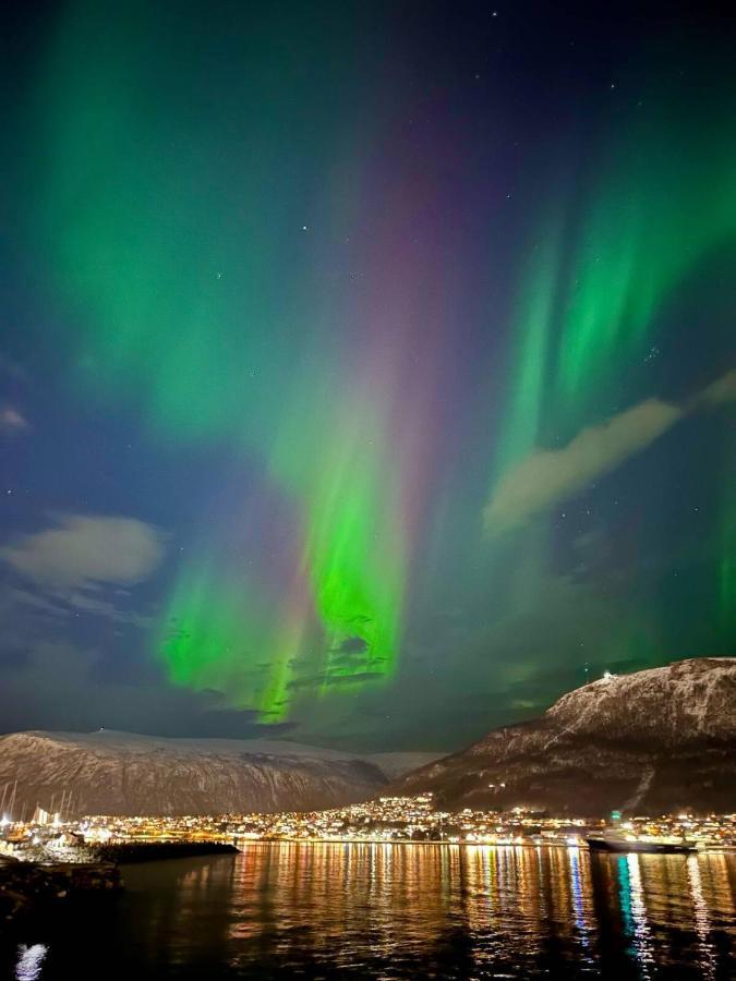 Leilighet Ved Havet Med Utsikt Over Tromsoysundet. Exterior foto